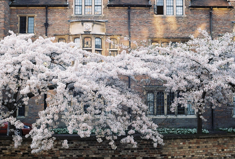 englishsnow:   Anna Doshina 