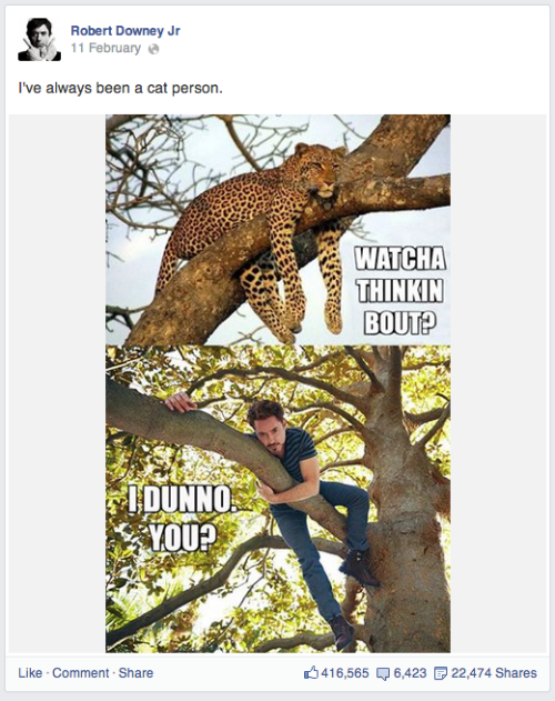 i-ll-be-mother: Is Robert Downey Jr’s facebook even real?