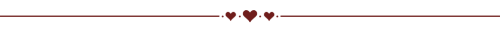 ◦˚~ MAROON DIVIDERS ~˚◦