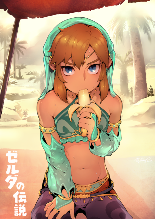 trap-galaxy: gerudo link is the cutest!