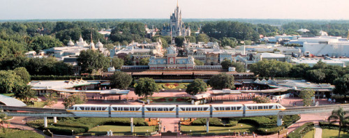 Did You Know? Roughly 50 million people a year ride the Walt Disney World Monorail (including the Ex