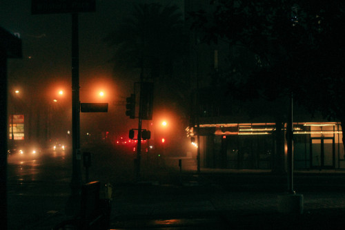 Fog Roller, Los Angeles – December 1st, 2021