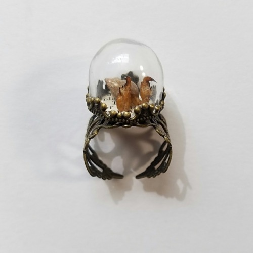 A new rogue insect taxidermy tiny creature mounted in a ring! Made, photographed, and Hand modeled b