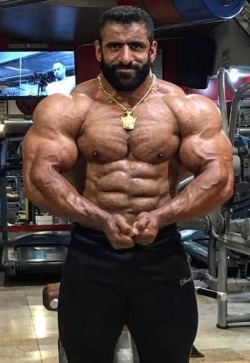 pjsesq:Semitic god. Hadi Chopan Muscles.  On muscles.  On muscles. Brown skin. That big penile nose. Big hands. Beard.