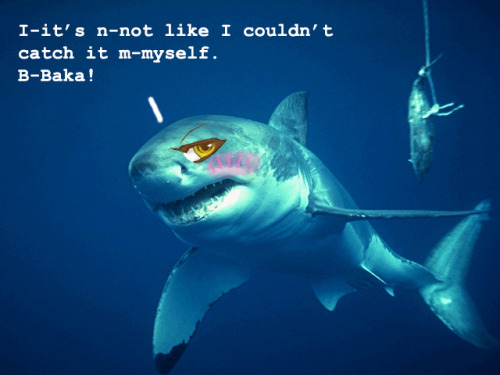 dat-meow-cray: dizabell: Anime Sharks are my favorite fucking thing in the world. Sharks so kawaii-d