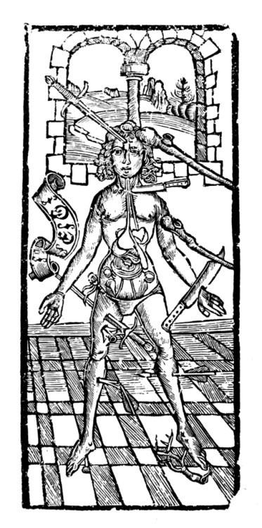 The Noble Experyence of the Vertuous Handy Warke of Surgeri, late 15th century or early 16th century