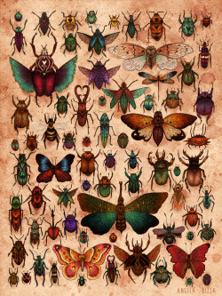 angelarizza:  Here is my Love Bug illustration