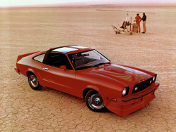 radracerblog:  1979 Ford Mustang Cobra GT