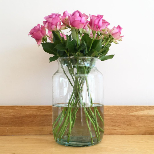 lilacremes:・・・“Fresh dusty pink roses to mark the beginning of spring.I love that this vase makes mo