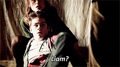 Teen Wolf AU:The One Where Allison, Stiles, And Liam Are Related.