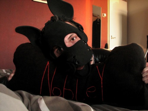 gayboykink:  Look what the ever so cute @scoutpupp adult photos