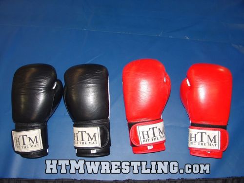 Just some HTM boxing gloves.