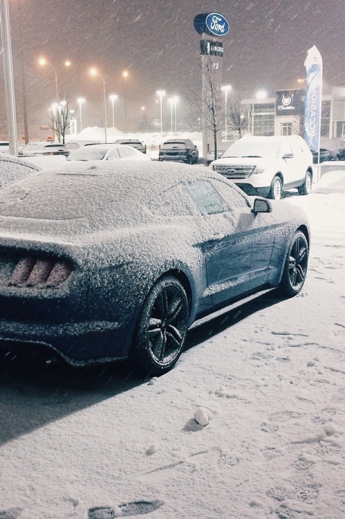 emilio888:  The Blizzard