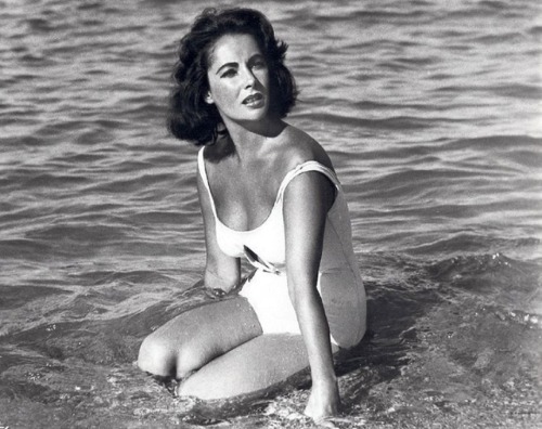 Venus Rising from the Sea: Elizabeth Taylor in “Suddenly, Last Summer” 