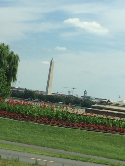 My trip to DC was kinda cool.