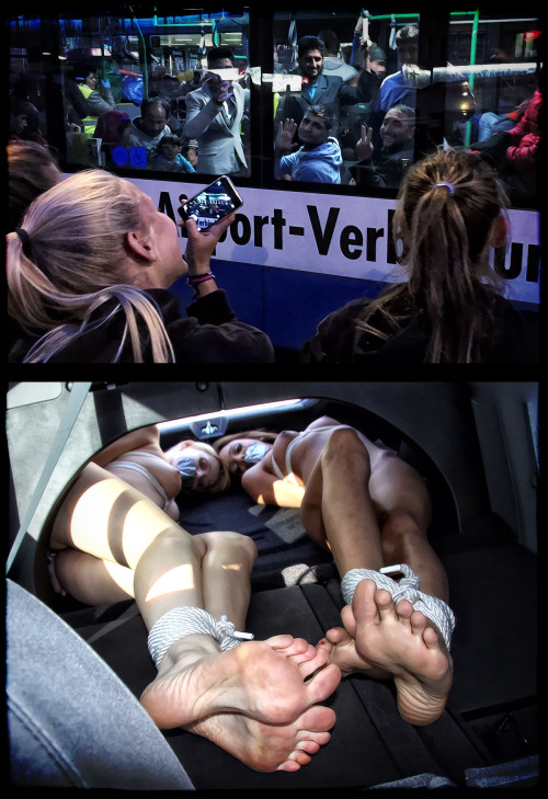 djaam-white:  taurusartworks:  Some pretty university girls greeting a convoy of asylum seekers… they cheer enthusiastically & wave to the men… soon, they wonder where all the little children are… it’s almost all men each carrying bags filled