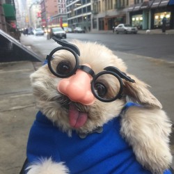 marniethedog:  No I’m not Marnie. Jk I