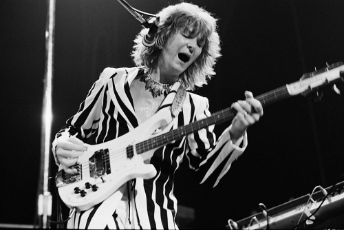 sickfink2: Chris Squire’s backgammon fit onstage.1st pic: By Michael Putland at Madison Square Garde
