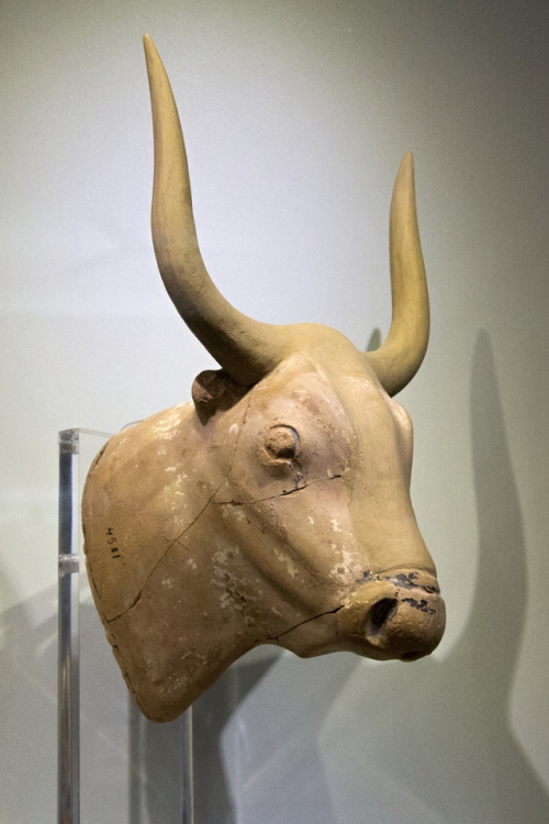 bronze-age-aegean:Bull’s head rhyton. 1500-1450 BC.Palaikastro, Crete. Currently in the Archaeologic