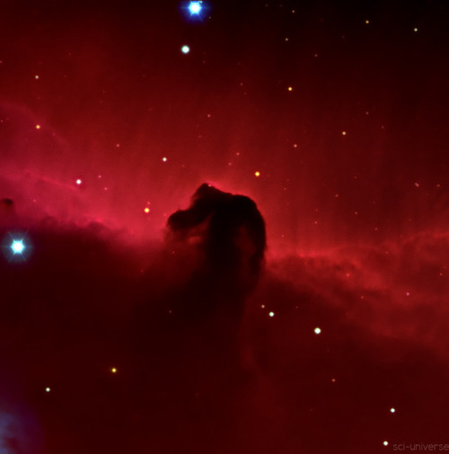 The Horsehead NebulaHere is my version of the Horsehead Nebula!It is one of the most famous nebulas 