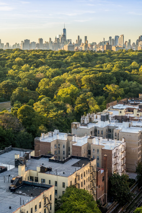 A view over Prospect Park from Prospect–Lefferts Gardens on the east side of the park. Find out more