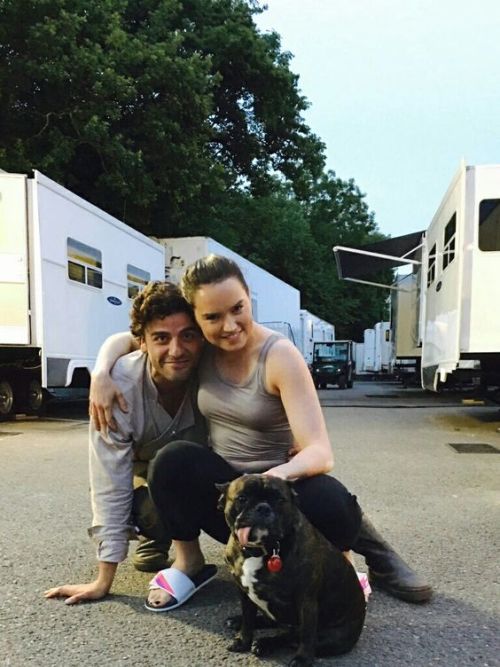 theorganasolo: Daisy Ridley and Oscar Isaac pose with Carrie Fisher’s dog Gary