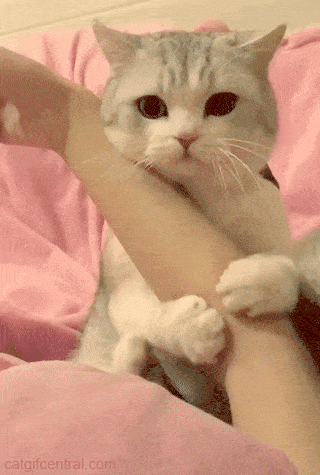 rbgif:  http://rbgif.tumblr.com/