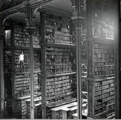 ollebosse:    A man browsing for books in