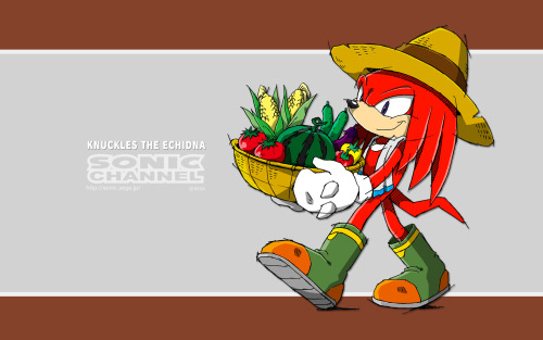 i-r-gigi:  hikarehnoel:     Sonic Channel Wallpapers  Find them here.           ↳as calendars? [go here]  Whoooo, look at ‘em all! 