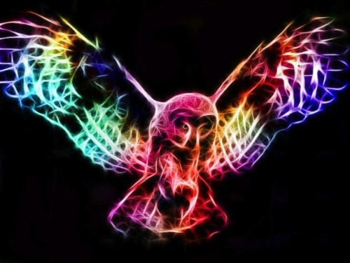unknowneditors:  Digital illustrations by Minimoo64  The series of digital illustrations by the Canadian artist, known under the nickname minimoo64, isn’t directly related to mathematical fractals. She simply transforms usual animal portraits into glowing