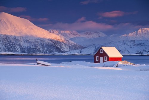 ‘Blue Winterscape’ *** (photo via @dragonfly_37)