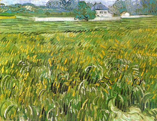 lonequixote:  Wheat Field at Auvers with White House  ~ Vincent van Gogh