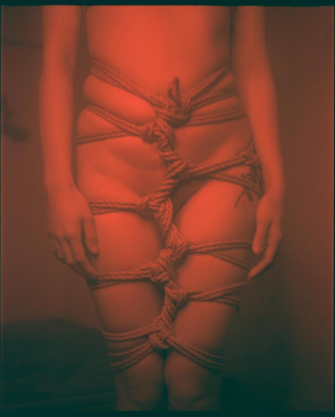 idieinmydaydream:Noor Datis