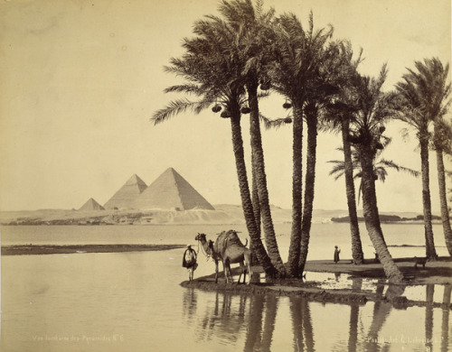 grandegyptianmuseum: The Pyramids, 1860s. Photo: Gabriel Lekegian 