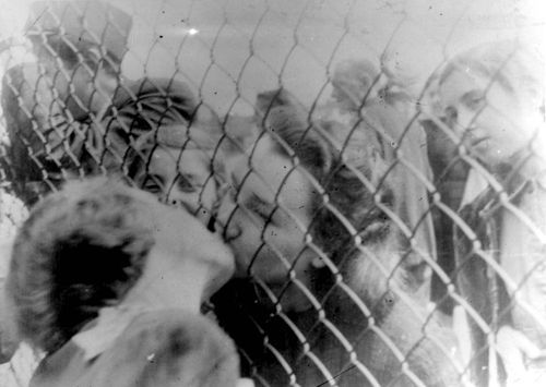 wlwvintage: Two Jewish women kiss through a fence in the Lodz Ghetto, Poland, c. 1940′s by Mendel Gr
