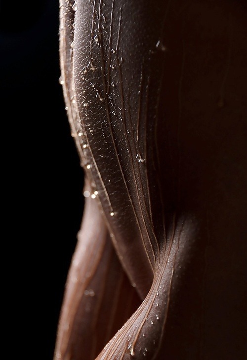sensualsirens:  http://sensualsirens.tumblr.com/
