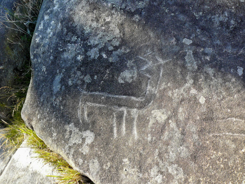 serpentandstang: Galician Petroglyphs, Muros, Spain. Cova da Bruxa and Laxe das Rodas. Cova da Bruxa