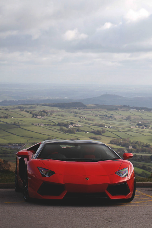 themanliness:    Big Bad Bull by Matt Parker   | Facebook | Instagram   