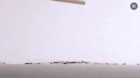ri-science:“When you touch it, it explodes”Nitrogen Triiodide is an extremely