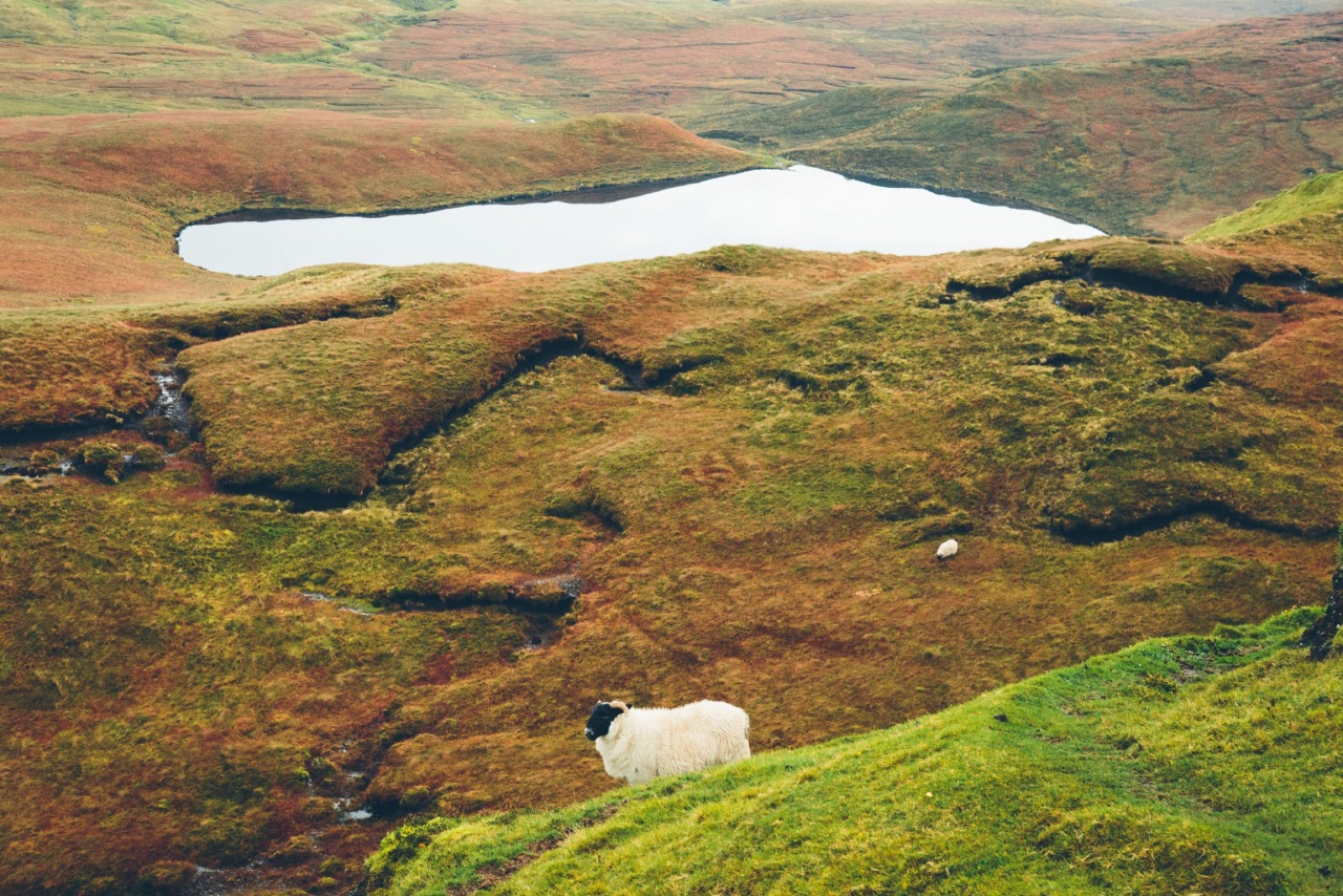 dpcphotography:  Quiraing , Isle of Skye 