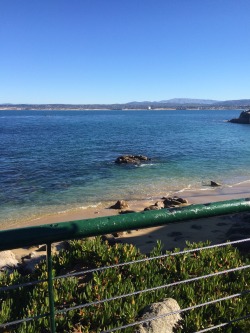biisousss:  Monterey, California