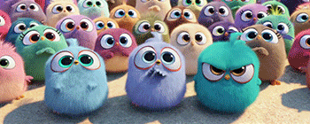 Angry Birds get back their stolen eggs in this new intl trailer with all new footage. 