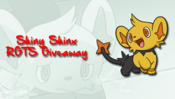 firetypetiny:shiny shinx rgts giveawayThey’re all Level 1, Guts, 5IV, in repeat balls, and know Night Slash, Fire Fang, Ice Fang, and Quick Attack. They’re all holding either toxic or flame orbs!Males: Glitch-Hop (jolly), Drum &amp; Bass (adamant),