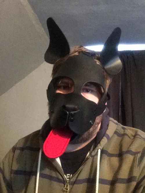 ricub87:  Yay look I got! Woof.  What a fantastic looking pup.