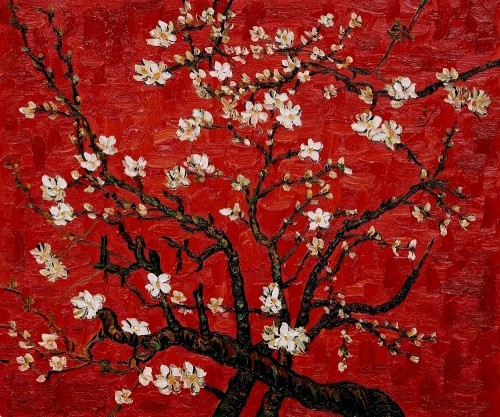 unefemmediscrete:   Vincent Van Gogh - Branches d'amandier en fleurs .