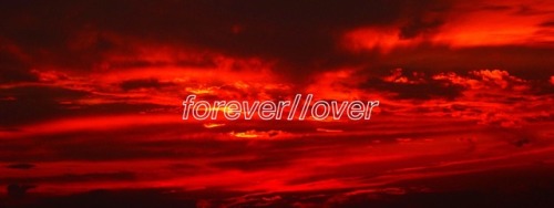 forever//over -EDEN please reblog/like if using x