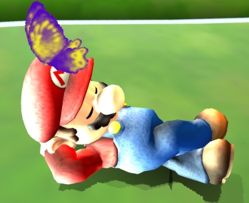 In Super Mario Galaxy, decorative butterflies can be found in various places, such as on the Comet O