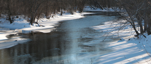 simplethingsnaturephotography:Greenville, OhioFebruary 16, 2021