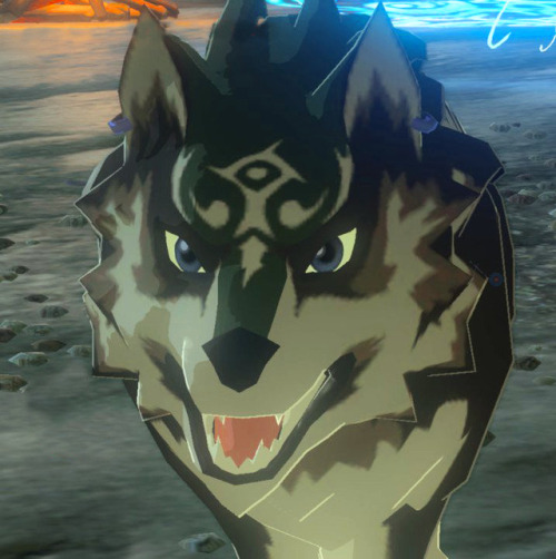 The Botw Art Reference Collective Wolf Link A Good Good Boy