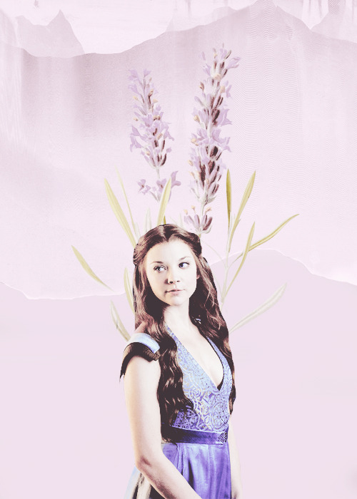 targayrens: -Do you want to be a queen? -No…I want to be the queen  url graphic → margaerv want one?